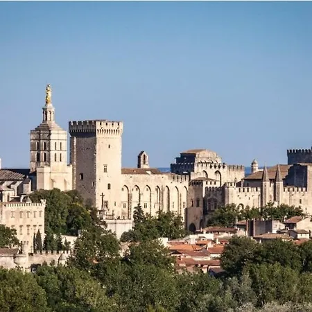 Appart Authentique 100 M Du Palais Des Papes-clim *